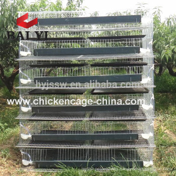 Layer Poultry Quail Cage (Import Export Kenya)